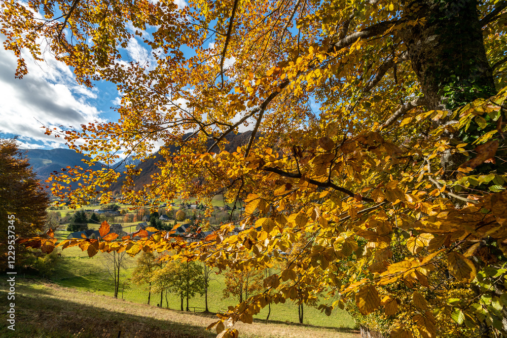 Fototapeta premium Autumn Splendor: Scenic Road Trip Through France and Switzerland