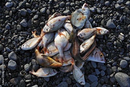 Fresh fishes in Lajita , Fuerteventura , Canary Islands photo