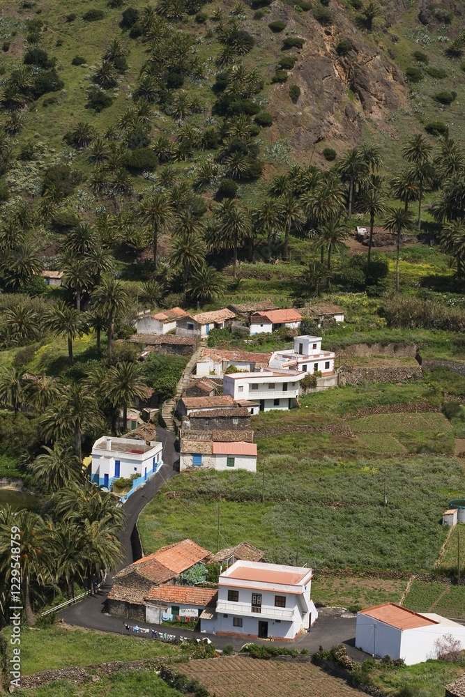Fototapeta premium Epina - La Gomera