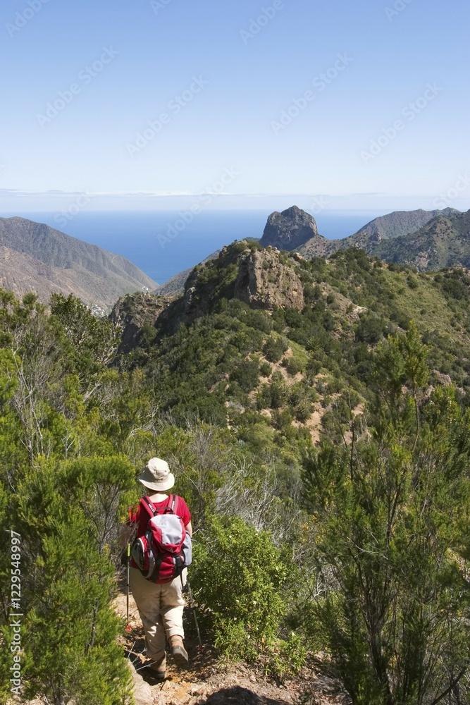 Fototapeta premium - hiking trail near Vallehermoso - La Gomera