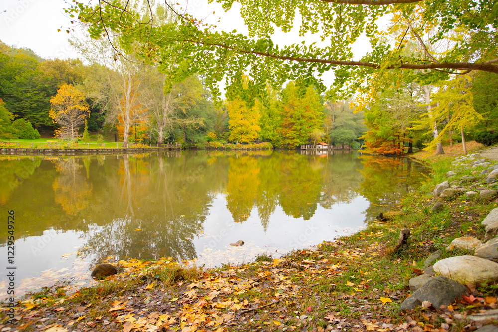 Ataturk Arboretum is in the Sariyer district of Istanbul. Ataturk Arboretum is in the Sariyer district of Istanbul.