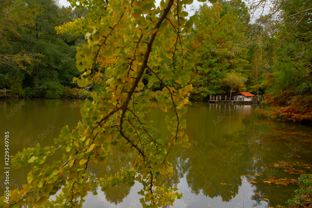 Ataturk Arboretum is in the Sariyer district of Istanbul. Ataturk Arboretum is in the Sariyer district of Istanbul.