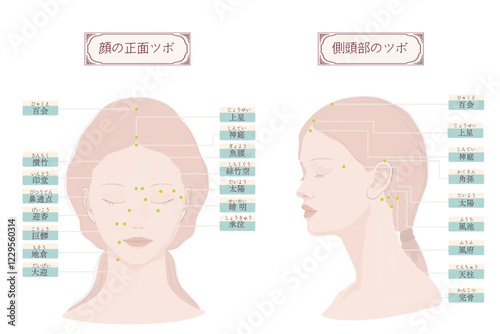 顔にあるツボと側頭部のツボ・百会・ツボ押し