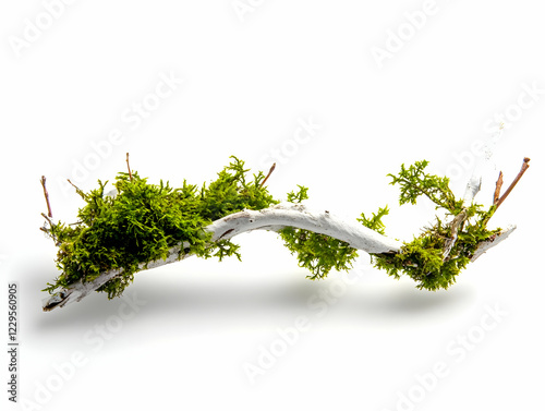White Tree Branch Covered w...