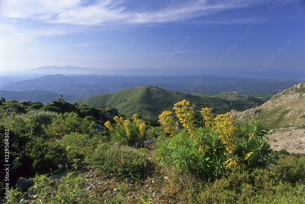 Fototapeta premium View from the Ida mountains, Crete, Greece, Europe