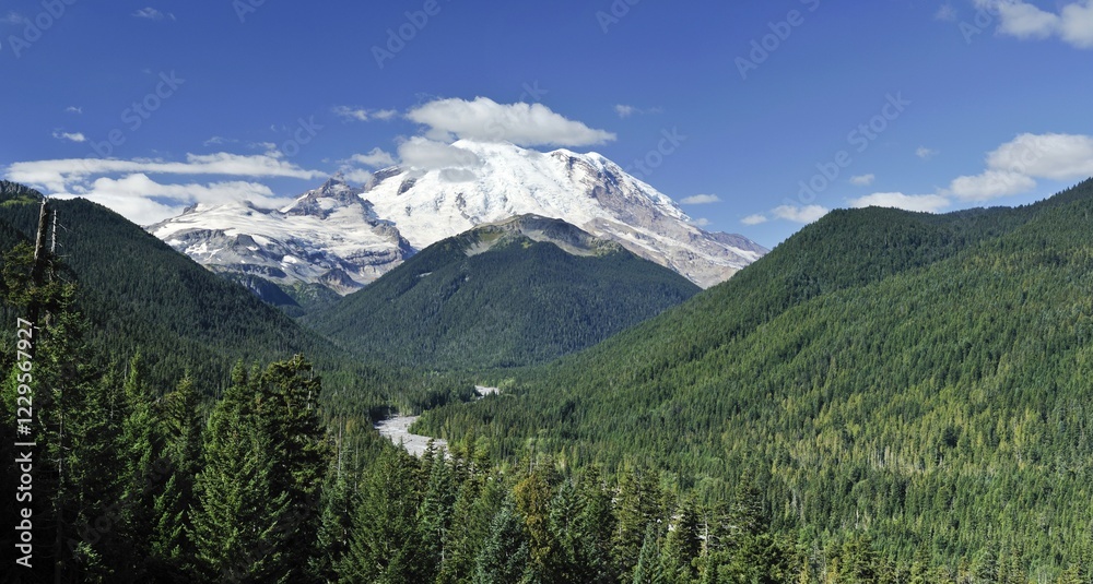 Obraz premium Glaciated peak of Mount Rainier, Mt. Rainier National Park, Washington, USA, North America