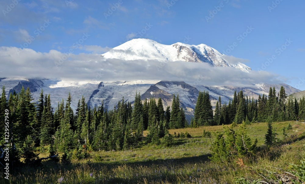 Obraz premium Glaciated peak of Mount Rainier, Mt. Rainier National Park, Washington, USA, North America