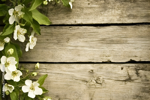 White Flowers Adorn Rustic ...