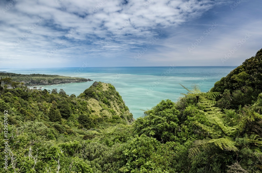 Obraz premium Views over dense vegetation towards the green sea on the West Coast, Irimahuwhero Lookout, Paparoa National Park, South Island, New Zealand, Oceania
