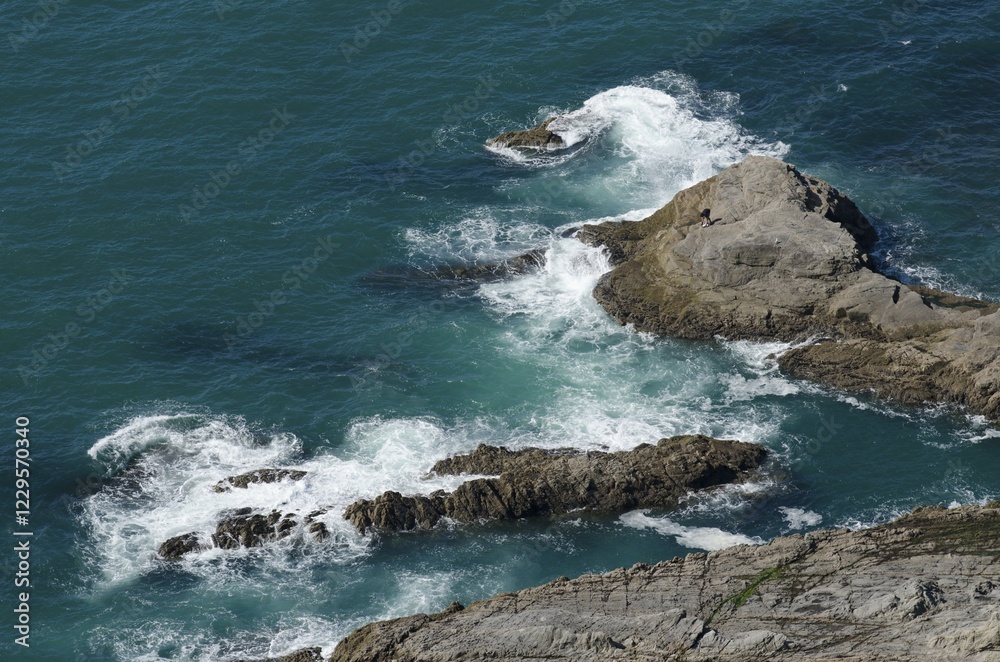 Rock formations on the coast, New Plymouth, North Island, New Zealand, Oceania Rock formations on the coast, New Plymouth, North Island, New Zealand, Oceania