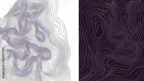 Abstract Topographic Contou...