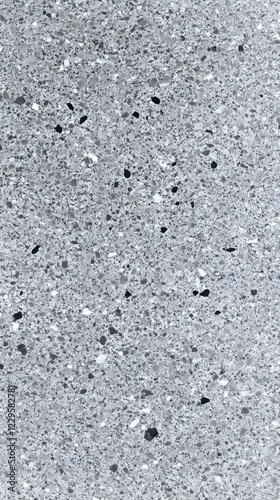 Close-up View of a Gray Spe...