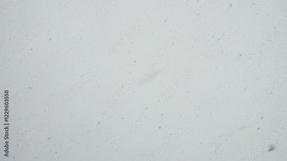 Snow is Falling in Big Flakes Snow is Falling in Big Flakes