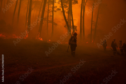 Firefighters led by leader battling wildfire in dense smoke in forest
