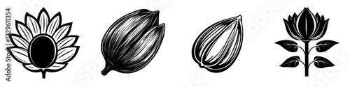 Illustrations of various seed and flower designs showcasing botanical diversity and artistic expression