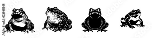 Different species of frogs presented in a stylized black and white illustration showcasing their unique features and characteristics