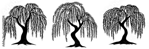 Illustrations of three unique weeping willow tree designs in black silhouette style for artistic inspiration and botanical representation