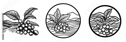 Creative botanical illustrations of coffee plants showcasing berries and leaves against mountainous landscapes