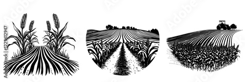 Stylized black and white illustrations of a cornfield depicting growth stages and farming activity