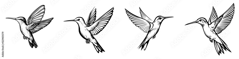 Diverse hummingbirds in various flight positions captured with intricate detail in a natural setting Diverse hummingbirds in various flight positions captured with intricate detail in a natural setting