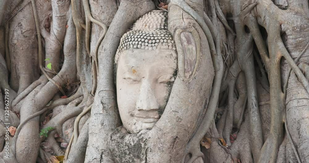 The Buddha's head in tree roots, Ayutthaya, Thailand