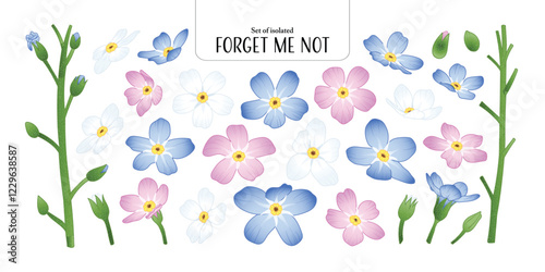 Set of isolated Forget Me Not, Scorpion grasses. Cute flower illustration in hand drawn style. Pastel blue, pink and white color tones on a transparent background.