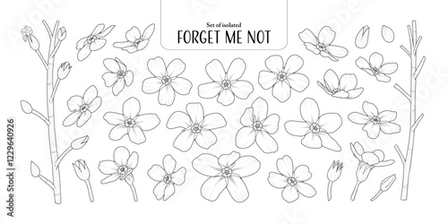 Set of isolated Forget Me Not, Scorpion grasses. Cute flower illustration in hand drawn style. Black outline and white plain on a transparent background.