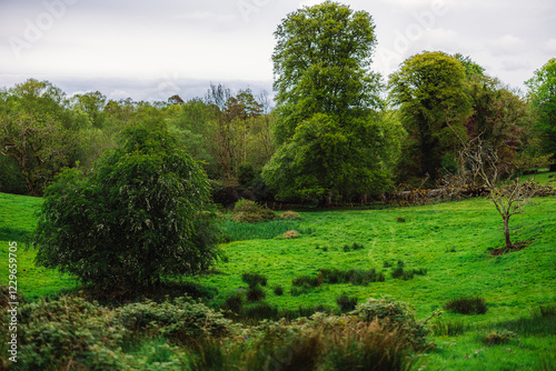 Views during a walk in Killarney National Park County Kerry, Ireland  photo