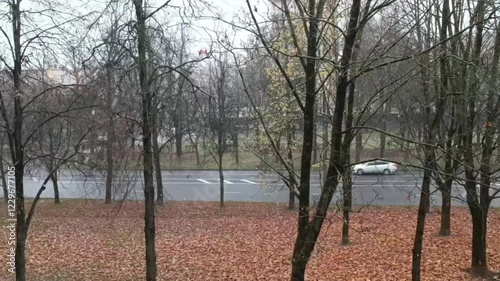 A serene video capturing the magical first snowfall in the city, showcasing snow-covered trees and gently passing cars, creating a peaceful winter ambiance