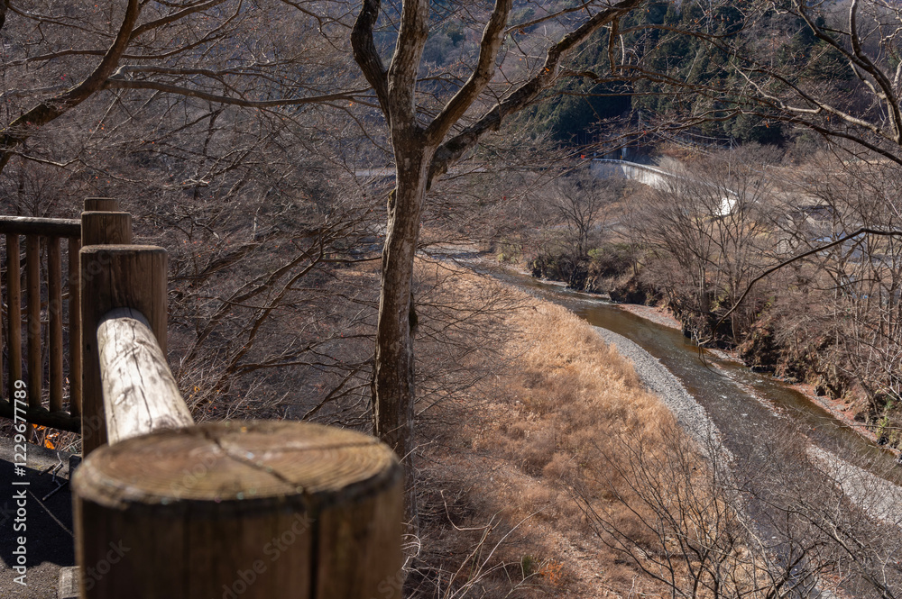 Obraz premium 乙父のもみじ休憩所から眺める神流川の流れ