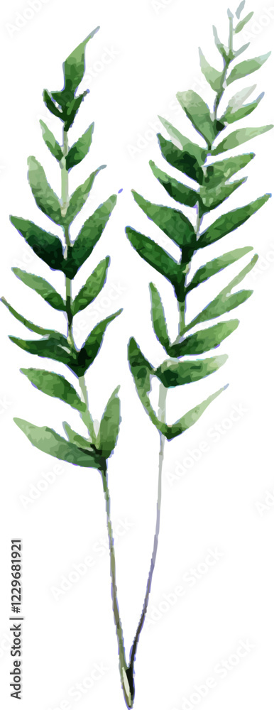 Naklejka premium Watercolor botanical illustration