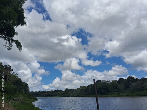 vegetação na margem do rio de contas na bahia