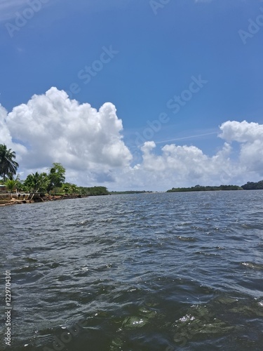 vegetação na margem do rio de contas na bahia