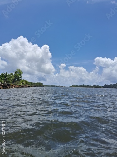 vegetação na margem do rio de contas