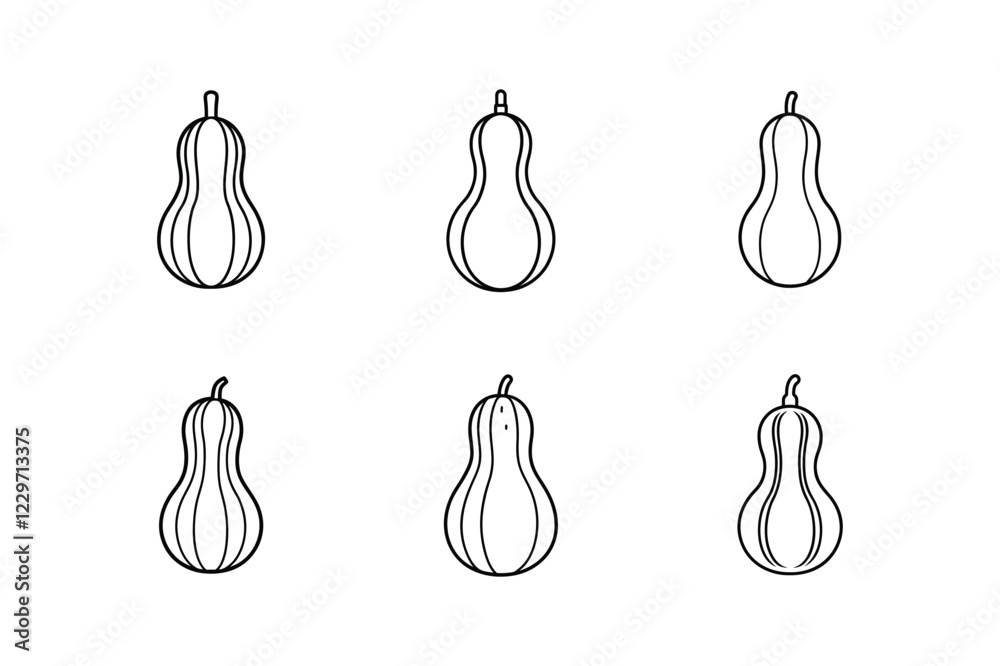 butternut squash line art vector illustration butternut squash line art vector illustration