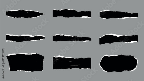Black & White Textured Vector Ripped Paper Pieces