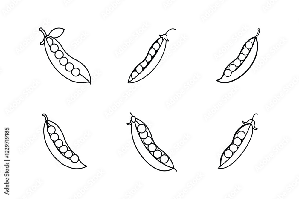Fototapeta premium peas line art vector illustration