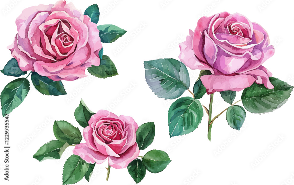 Naklejka premium set of pink roses