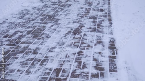 Wallpaper Mural A snow-covered park with a cleared cobblestone pathway showing pedestrian footprints. Trees line the path side, and a bench on the right creates a scene of a tidy urban environment in winter. Torontodigital.ca