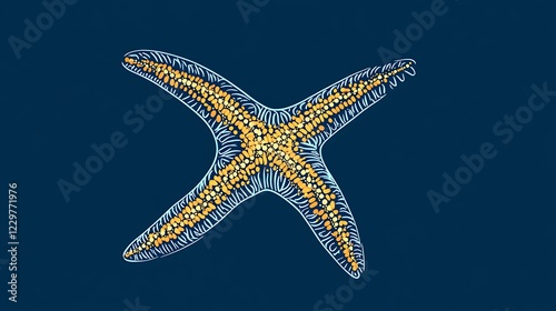 Starfish, detailed anatomical illustration, marine life, scientific study, educational resource photo