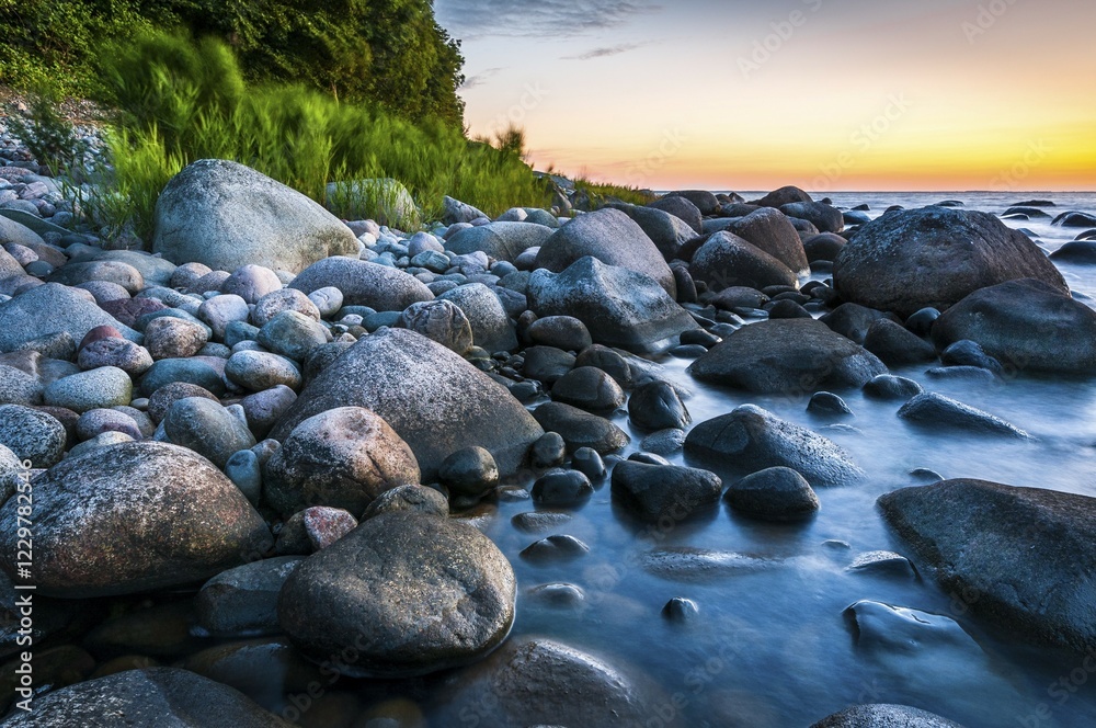 Fototapeta premium Stony beach with coastal forest at sunset, Baltic Sea, Jasmund National Park, Jasmund peninsula, Rügen Island, Mecklenburg Vorpommern, Germany, Europe