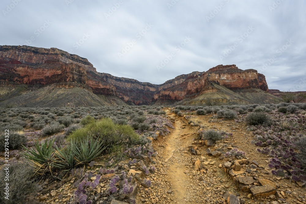 Obraz premium View from Plateau Point in the gorge of the Grand Canyon to the South Rim, hiking trail Bright Angel Trail, eroded rock landscape, Grand Canyon National Park, Arizona, USA, North America