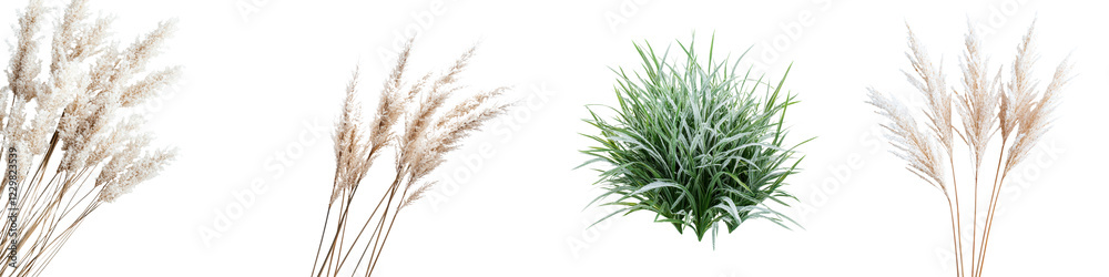 Elegant Pampas Grass and Autumn Foliage Arrangement in Natural Landscape Setting