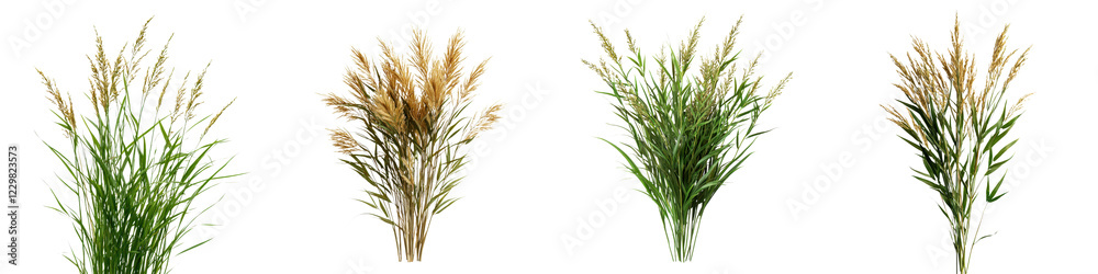 Naklejka premium Lush Green Grass Stalks in Field Vibrant Nature Scenery