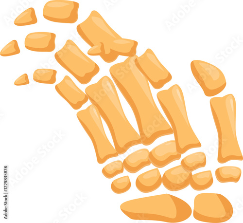 Detailed illustration of human foot bones exploding apart, highlighting the tarsals, metatarsals, and phalanges, useful for educational and medical purposes