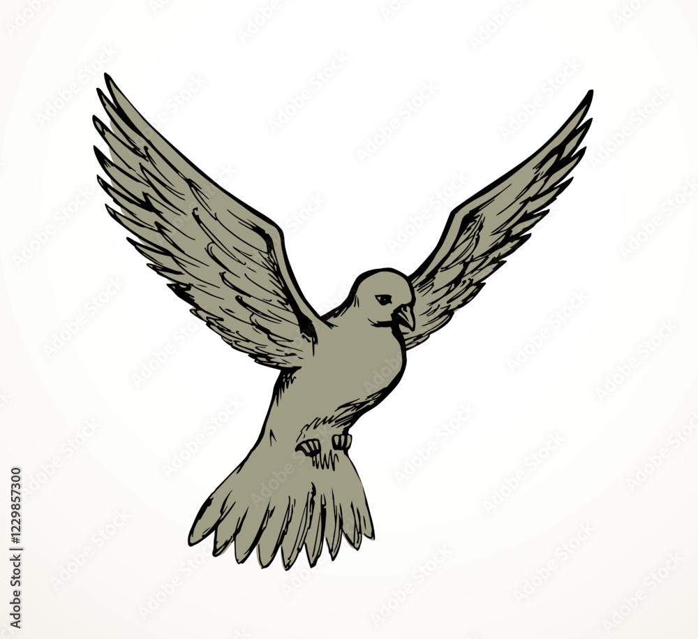 Obraz premium Vector drawing. Dove in the sky