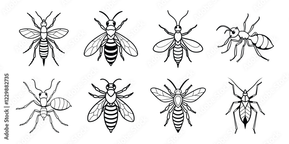 Insects liner art set. Vector illustrations poisonous insects isolated on white background Insects liner art set. Vector illustrations poisonous insects isolated on white background