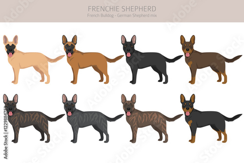 Frenchie Shepherd clipart. French Bulldog - German Shepherd mix. All possible coat colors, breed information, adults and puppies.  Vector illustration