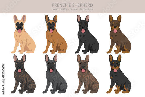 Frenchie Shepherd clipart. French Bulldog - German Shepherd mix. All possible coat colors, breed information, adults and puppies.  Vector illustration