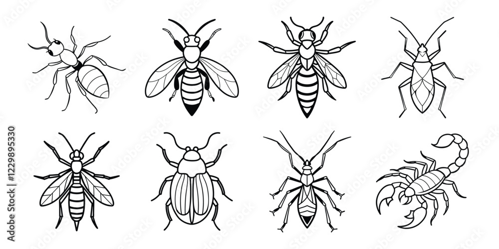 Insects liner art set. Vector illustrations poisonous insects isolated on white background Insects liner art set. Vector illustrations poisonous insects isolated on white background